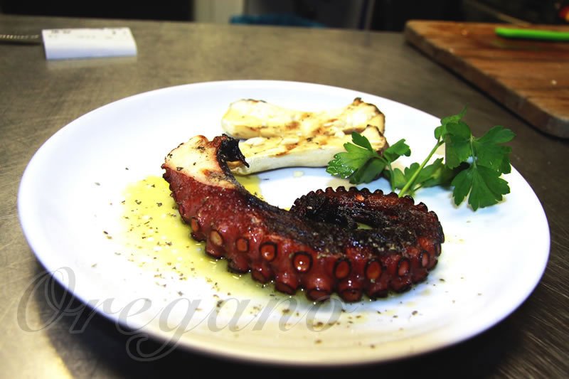 restaurant oregano hannover 3328